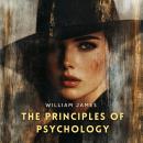 The Principles of Psychology, Volume 4 Audiobook