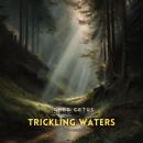 Trickling Waters: Gentle Stream Sounds in a Quiet Conifer Forest Audiobook