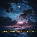 Soothing Night Sounds: Crickets and Flowing Water for Deep Relaxation Audiobook