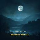 Moonlit Ripples: Bright Stream Ambience in a Restful Night Habitat Audiobook