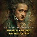 Wilhelm Meister's Apprenticeship Audiobook