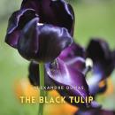 The Black Tulip Audiobook