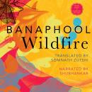 Wildfire - And Other Stories (Unabridged) Audiobook