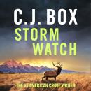 Storm Watch: Joe Pickett 23 Audiobook