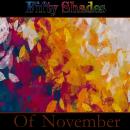 Fifty Shades of November Audiobook