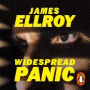 Widespread Panic Audiobook