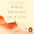 What to Make of a Life: Cliffs, Fog, Fire and the Self-Knowledge Imperative Audiobook