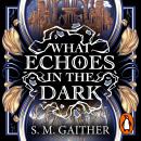 What Echoes in the Dark Audiobook