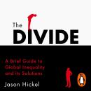 The Divide: A Brief Guide to Global Inequality and its Solutions Audiobook