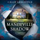 The Mandeville Shadow: Totally heartbreaking and unputdownable timeslip historical fiction Audiobook