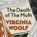 Death of the Moth Audiobook
