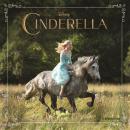 Cinderella Junior Novel Audiobook