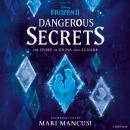 Dangerous Secrets: The Story of Iduna and Agnarr Audiobook