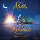 Aladdin: Far from Agrabah Audiobook