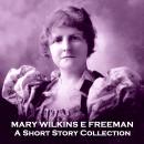 Mary Wilkins E Freeman - A Short Story Collection Audiobook