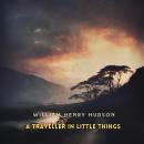 A Traveller in Little Things Audiobook