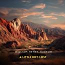 A Little Boy Lost Audiobook