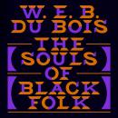 The Souls of Black Folk Audiobook