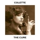 The Cure Audiobook