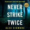 Never Strike Twice Audiobook