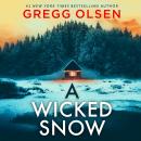 A Wicked Snow Audiobook