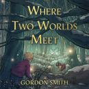 Where Two Worlds Meet Audiobook