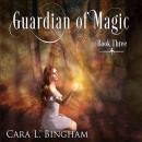 Guardian Of Magic: Mira Storm Weather Audiobook