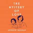 The Mystery Of Love Audiobook