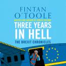 Three Years In Hell Audiobook