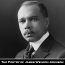 The Poetry of James Weldon Johnson Audiobook