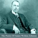 Poetry of James Weldon Johnson, James Weldon Johnson