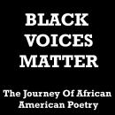 Black Words Matter - The Journey Of African American Poetry Audiobook