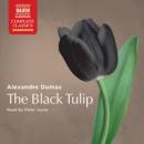 Black Tulip, Alexandre Dumas
