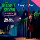 Go Ahead, Secret Seven & Good Work, Secret Seven Audiobook
