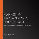 Managing Projects as a Consultant: How to Succeed in an Unknown Environment Audiobook