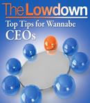 Lowdown: Top Tips for Wannabe CEO's., R Pettinger, Richard Charkin