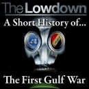Lowdown: A short history of the First Gulf War, Dr. Robert Johnson