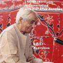 J Krishnamurti in Conversation with Prof Allan Anderson 17 Audiobook