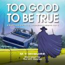 Too Good To Be True Audiobook