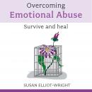 Overcoming Emotional Abuse Audiobook
