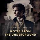 Notes From The Underground Audiobook