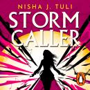 Storm Caller: Storm Breaker 2 Audiobook