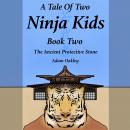 A Tale Of Two Ninja Kids - Book 2 - The Ancient Protective Stone Audiobook
