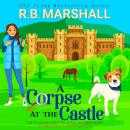 A Corpse at the Castle: A Page-Turning Scottish Cozy Mystery Audiobook