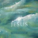 Surprised by Jesus: Subversive Grace in the Four Gospels Audiobook