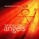 The World of Angels Audiobook