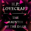 The Haunter of the Dark Audiobook