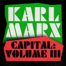 Capital: Volume 3: A Critique of Political Economy Audiobook