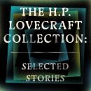 HP Lovecraft: Selected Stories Audiobook
