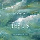 Surprised by Jesus: Subversive Grace in the Four Gospels Audiobook